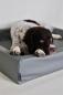 Preview: Hundebett Grau 100 x 80 x 15 m BIA