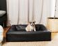 Preview: Hundebett Schwarz Quadratisch 70 x 60 x 15 cm BIA