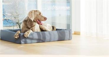 Preview: Hundebett Grau 100 x 80 x 15 m BIA