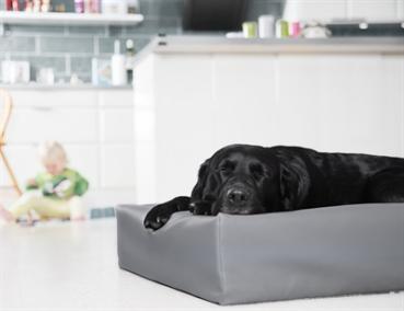 Preview: Hundebett Grau 100 x 80 x 15 m BIA
