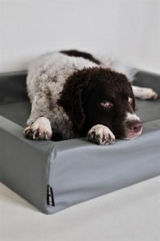 Preview: Hundebett Grau 100 x 80 x 15 m BIA