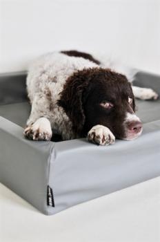Preview: Hundebett Grau 120 x 100 x 15 cm BIA