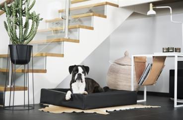 Preview: Hundebett Schwarz 100 x 80 x 15 cm BIA