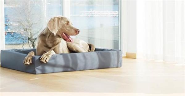 Hundebett Grau 85 x 70 x 15 cm BIA