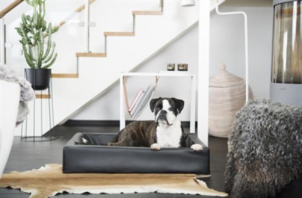 Hundebett Schwarz 60 x 50 x 12,5 cm BIA